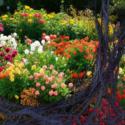 Illustration mung - Image 1