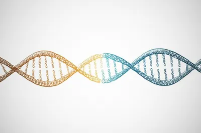 Illustration splicing - Image 1