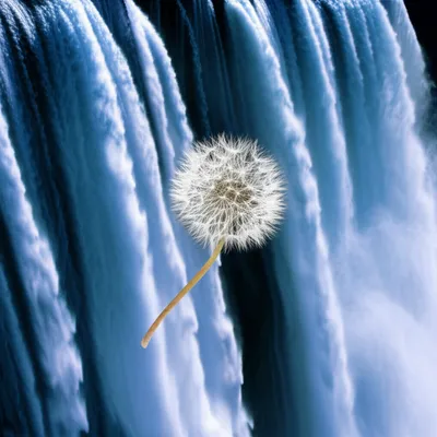 Hình ảnh minh họa improbability - Ảnh 1