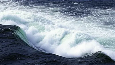 Illustration rapid - Image 1