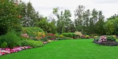 Illustration garden - Image 2