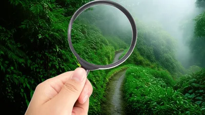 Illustration seeks - Image 1