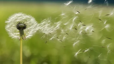 Illustration whooshed