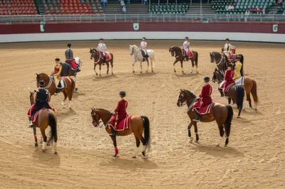 Illustration carrousels - Image 1