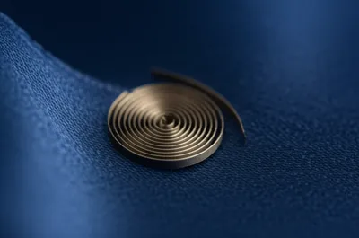 Illustration riband - Image 1