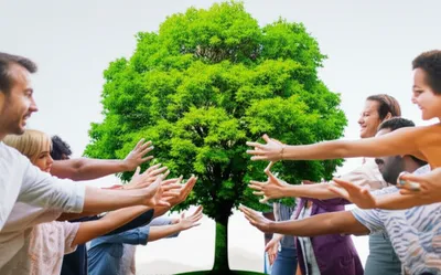 Illustration commonality - Image 1