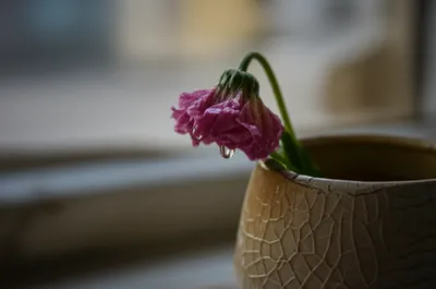 Illustration deprecated - Image 1