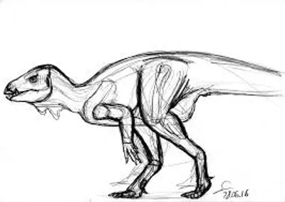 Illustration rough - Image 2