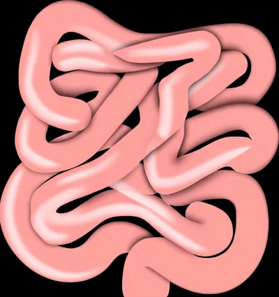 Illustration rope - Image 1