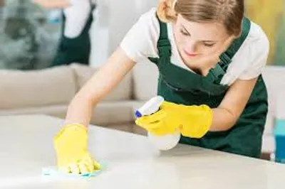 Illustration domestic - Image 2