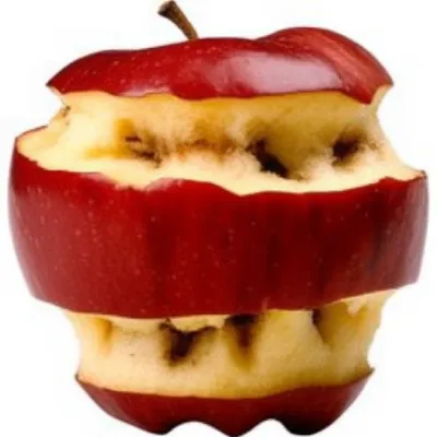 Illustration veneers - Image 1