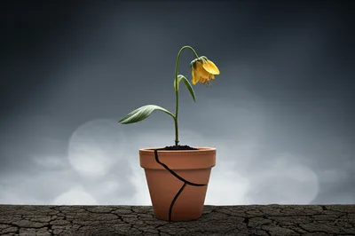 Illustration discouraging - Image 1