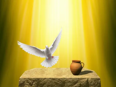 Illustration sanctify - Image 1