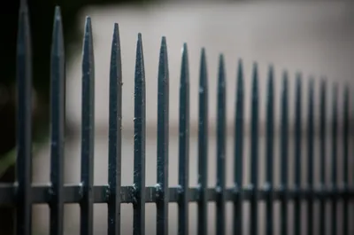 Illustration spiked - Image 1