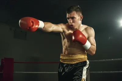 Illustration left - Image 1