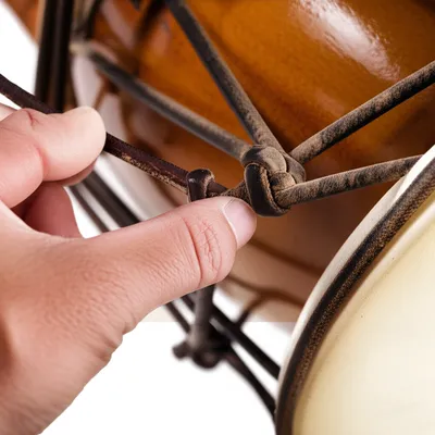 Illustration brace - Image 1