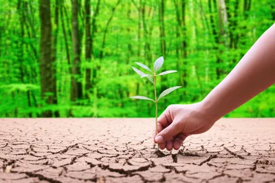 Illustration skill - Image 1