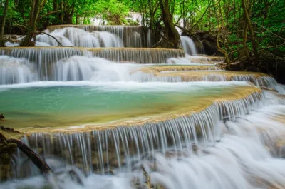 Illustration tiers - Image 1