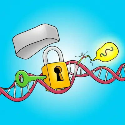 Illustration inducers - Image 1