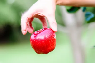 Illustration dropping - Image 1