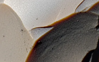 Illustration hinging - Image 1