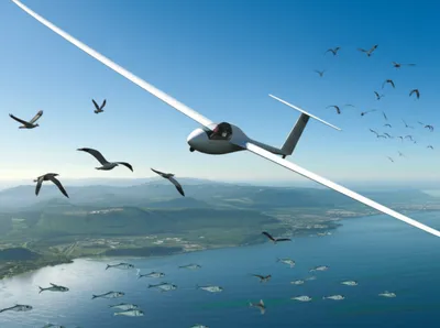 Illustration gliding - Image 1