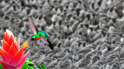 Illustration singular - Image 1