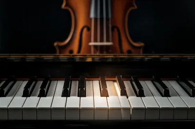 Illustration cs - Image 1