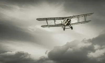 Illustration pip - Image 1