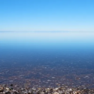 Hình ảnh minh họa settles - Ảnh 1