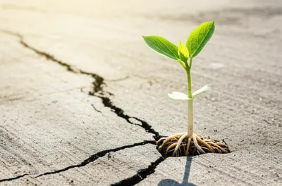 Illustration virtue - Image 1