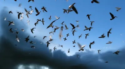 Illustration confusing - Image 1