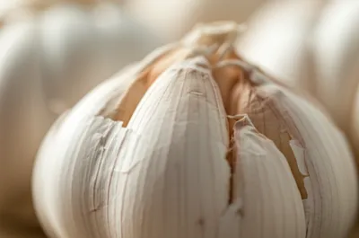 Illustration clove - Image 1