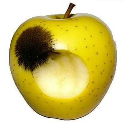 Illustration vitiated - Image 1