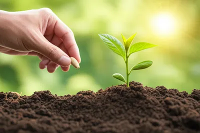 Illustration hope - Image 1