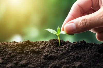 Illustration invest - Image 1