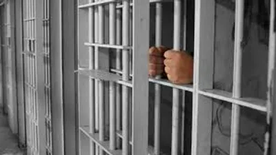 Illustration cooler - Image 2