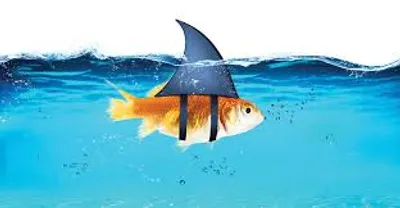 Illustration deceptive - Image 2