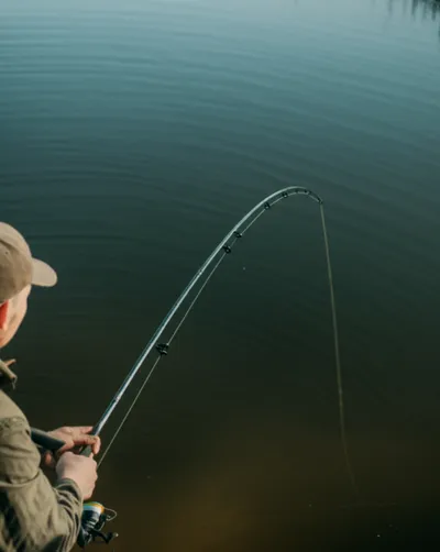 Illustration ledgered - Image 1