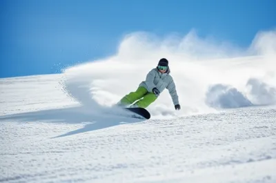 Illustration carven - Image 1