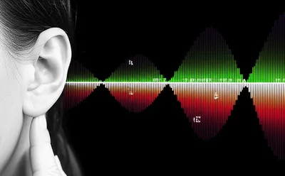 Illustration transcribing - Image 1