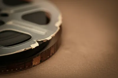 Illustration frill - Image 1