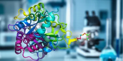 Illustration tag - Image 1