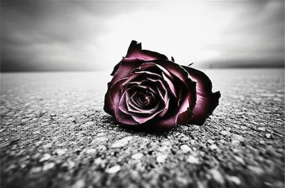 Illustration contrite - Image 1