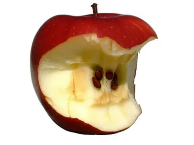 Illustration cuttings - Image 1