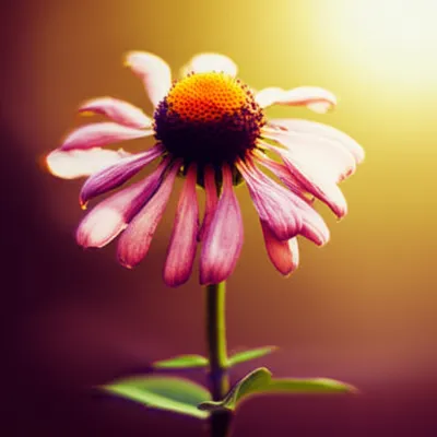 Illustration relieves - Image 1