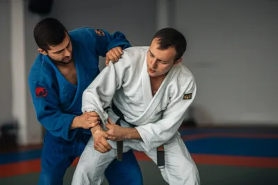 Illustration uke - Image 1