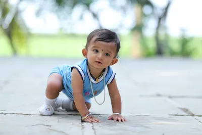 Illustration crawled - Image 2