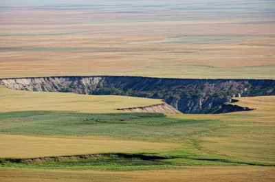 Illustration settle - Image 1