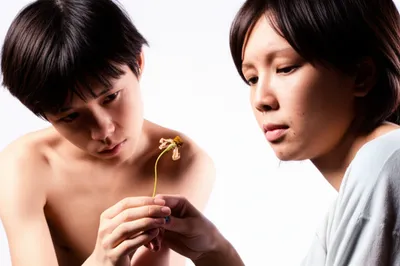 Illustration apologetic